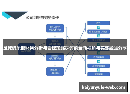 足球俱乐部财务分析与管理策略探讨的全新视角与实践经验分享